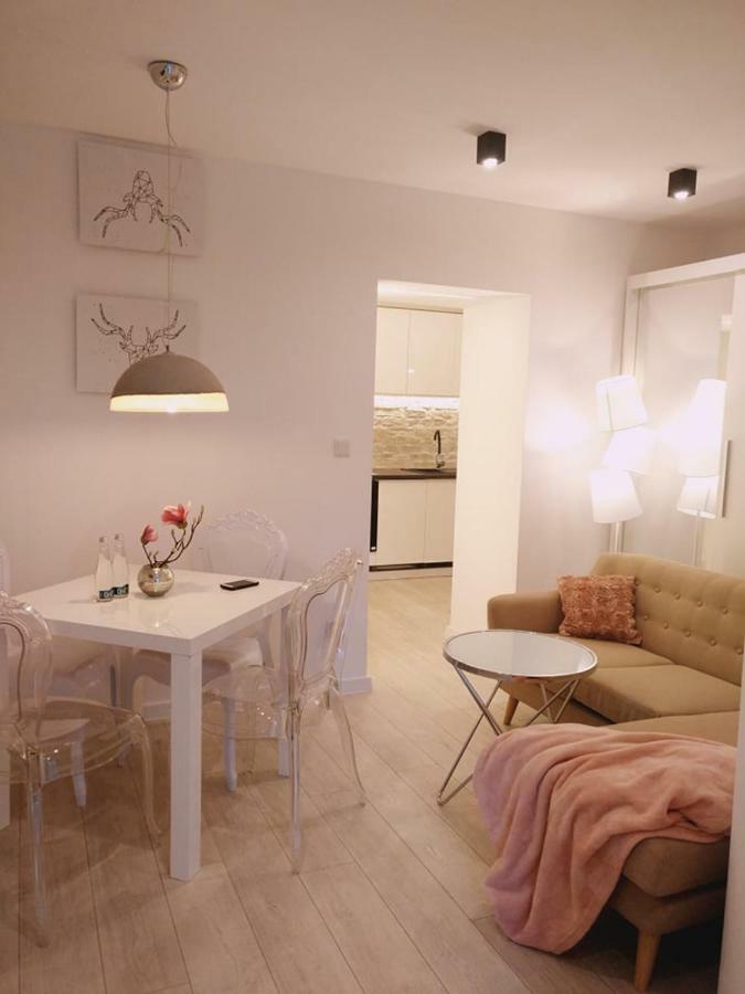 100 No 1 Ogrod W Centrum Apartment Stettin
